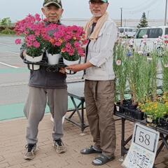 🍀児童福祉施設を支援する🌈チャリティーメダカ・昆虫販売イベ…