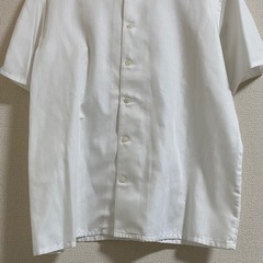 レディース　ブラウスの画像