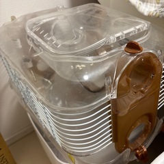 ジャンガリアンハムスター　小屋　エサ　巣　トイレ砂　ひんやりグッズの画像