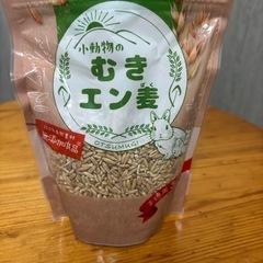 【えさ入れ】エコフィーダー うさぎ デグー 小動物用 食器 給水器  おまけ付きの画像