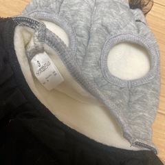 犬の洋服の画像