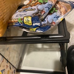 エキゾテラ　グラステラリウム3030　飼育ゲージの画像