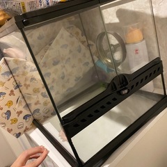 エキゾテラ　グラステラリウム3030　飼育ゲージ