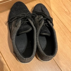 Ｌサイズ　レディース靴の画像