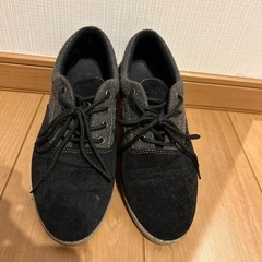 Ｌサイズ　レディース靴の画像