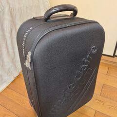 小型軽量 スーツケース　布製ソフトケース　4輪キャスター　旅行カ...