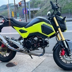 ホンダグロム181cc カスタム
の画像