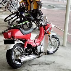 車体交換も可能　スズキ ランディー50(fm50)2stノーサス車の画像