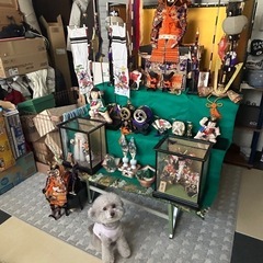 5月人形
