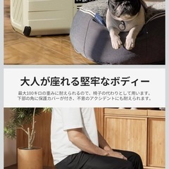 EENOUR 車載冷蔵庫 D18 18Lの画像