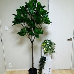 IKEA フェイクグリーン３点セット