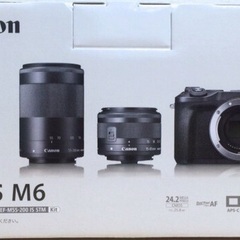 超美品Canon EOS M6ダブルズームキット+マクロレンズ他セット