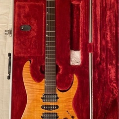 Ibanez J custom RG1608 AM デッドストック品の画像