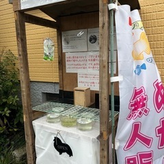 めだか無人販売　まるこうメダカ