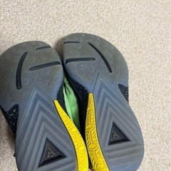 NIKE ヤニス　zoom フリーク5 23センチ　バッシュの画像
