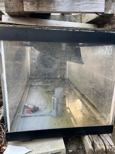 150センチ　大型水槽