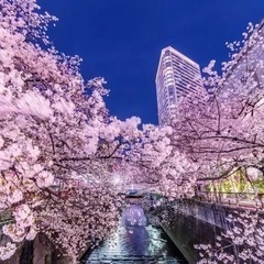 心霊現象でお困りの方