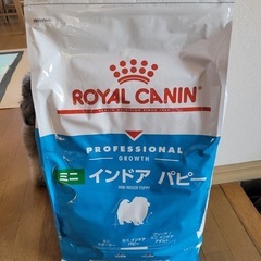 ロイヤルカナンミニインドアパピー１０キロ