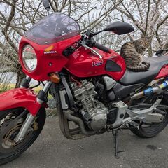 HONDA ホンダ CB900 ホーネット 2002年式の画像