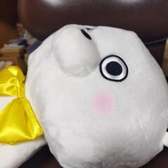 m34㎝タグ付ヨッシースタンプの画像