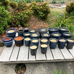鉢　大量