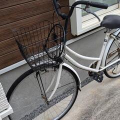自転車 大人用の画像
