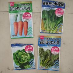 野菜の種　ほうれん草　にんじん　小松菜　サラダ