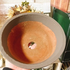 SALE✨No.69植木鉢リメイク鉢観葉植物多肉植物などに6号鉢の画像