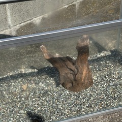 水槽　敷石　流木セットの画像