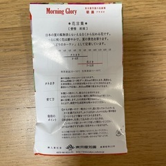 朝顔の種の画像