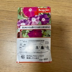 朝顔の種