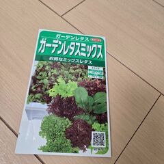 サカタのタネ🌱　ガーデンレタスミックス