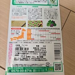 サカタのタネ🌱　ガーデンレタスミックスの画像