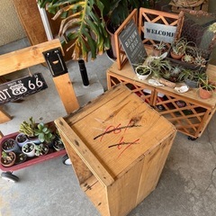 りんご箱 DIY 100均 カスタマイズ お店の商品棚、本棚や整理箱 植物 ガーデニング等にNO31の画像