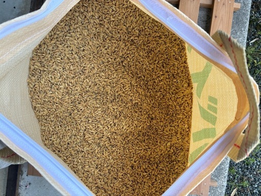 令和6年産ヒノヒカリ籾32kg