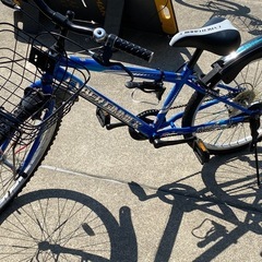 子供用マウンテンバイク
の画像