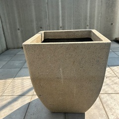 大型プランター