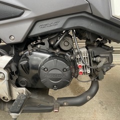 ホンダ グロム125 JC61後期の画像