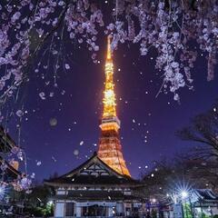 東京タワー🗼周辺の散歩仲間募集