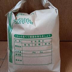 ■コシヒカリ 3kg 栃木県産 2024年
