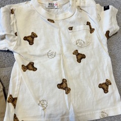 polo セットアップ
