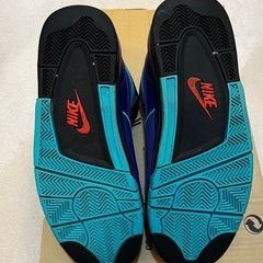 NIKE AIR FLIGHT 89 US12
の画像