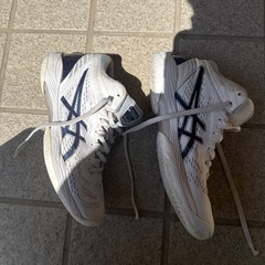 asics HOOP V14 24.0cm ホワイト/プリズムブルーの画像
