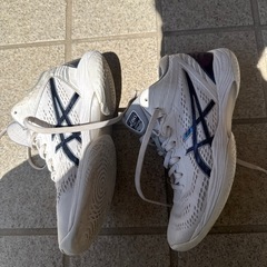 asics HOOP V14 24.0cm ホワイト/プリズムブルーの画像