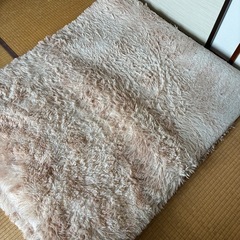 ルームカーペットの画像