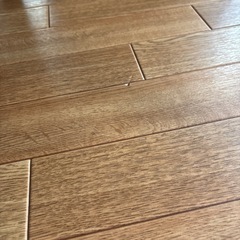 【決まりました】
差し上げます　クッションフロアマット の画像