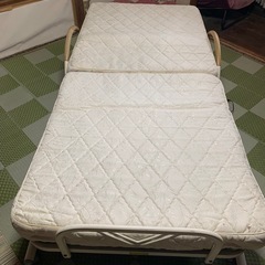 電動リクライニングベットの画像