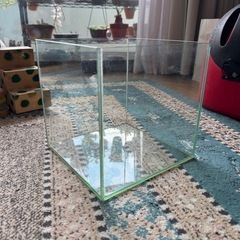 
水槽の画像