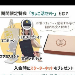 チョコザップ　春キット　新品　未開封品　フェイスローラー　& フェイスマスク➕秋キット　ブランケット➕　チョコ活スターターキットの画像