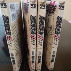 湘南爆走族　ファーストフラックの画像